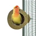 BACK ZOO NATURE COCONUT HOUSE