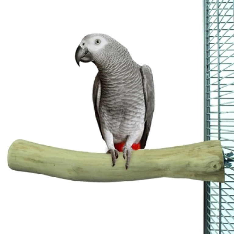 BACK ZOO NATURE Java Zitstok L - Natuurlijk hout - 30 cm - 1 stuk