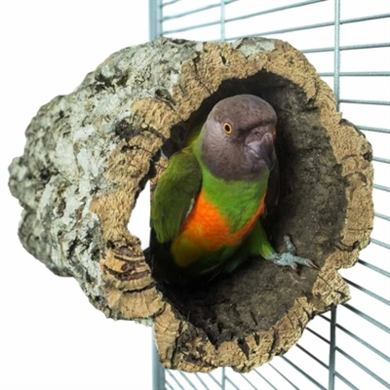 BACK ZOO NATURE Vogel Voederhuis Kurk 20x15-20 cm, 1 stuk