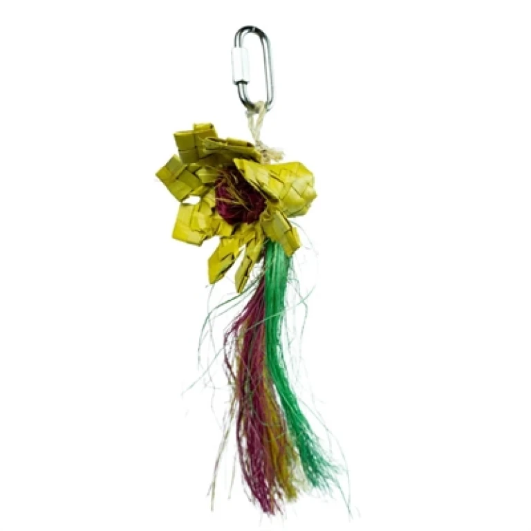 Back Zoo Nature Vogel Snack Sunflower 1 stuk