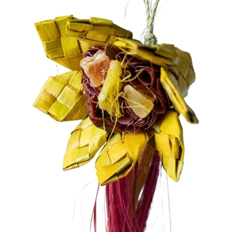 Back Zoo Nature Vogel Snack Sunflower 1 stuk