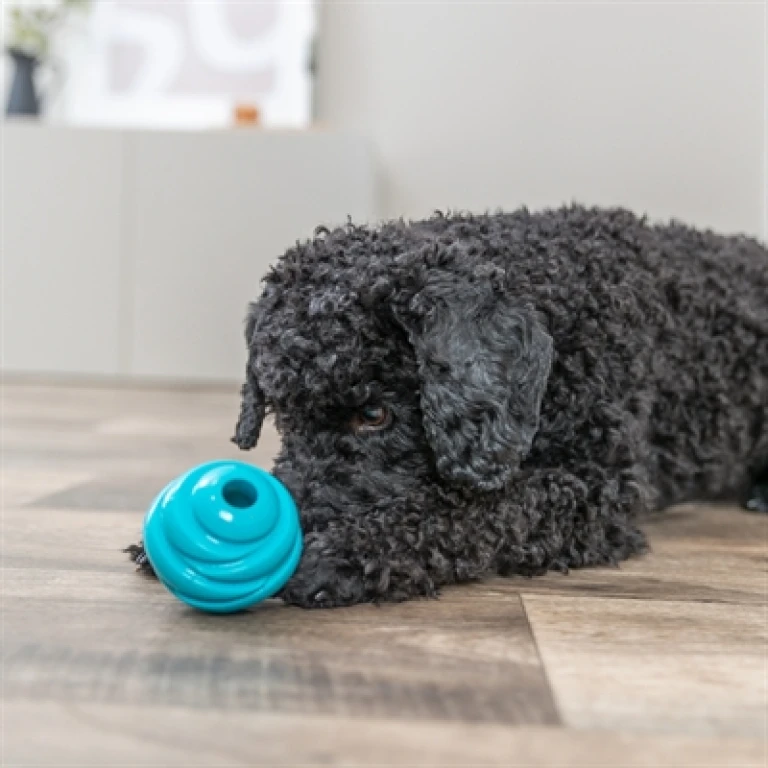 TRIXIE Super Strong TPR Speelbal voor Honden - Petrol - 1 stuk
