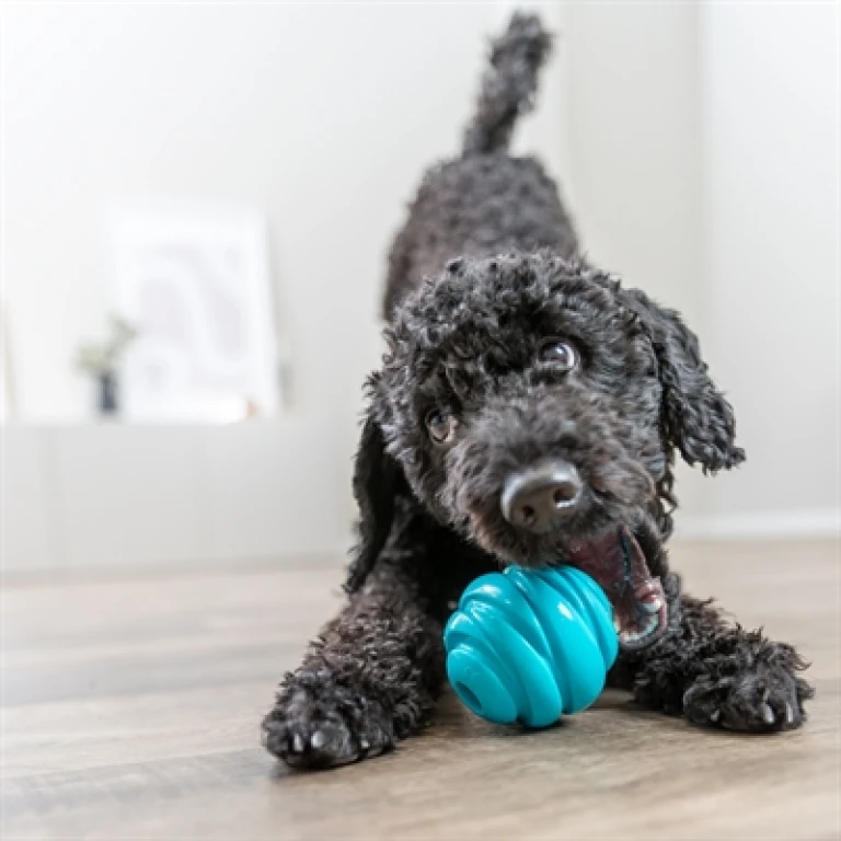 TRIXIE Super Strong TPR Speelbal voor Honden - Petrol - 1 stuk