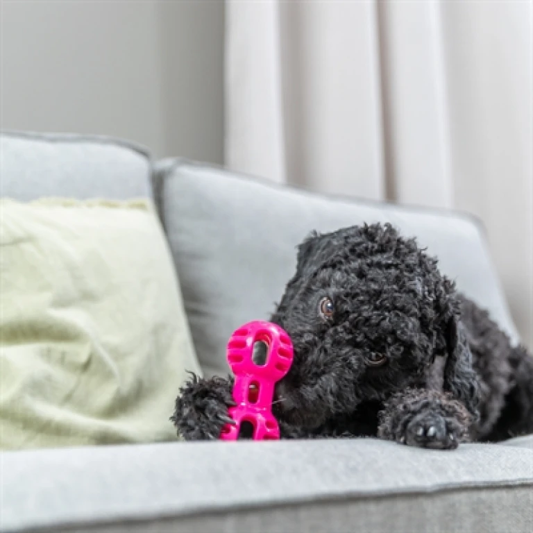TRIXIE Dumbell Soft & Strong Hondenspeelgoed - Roze - 1 stuk