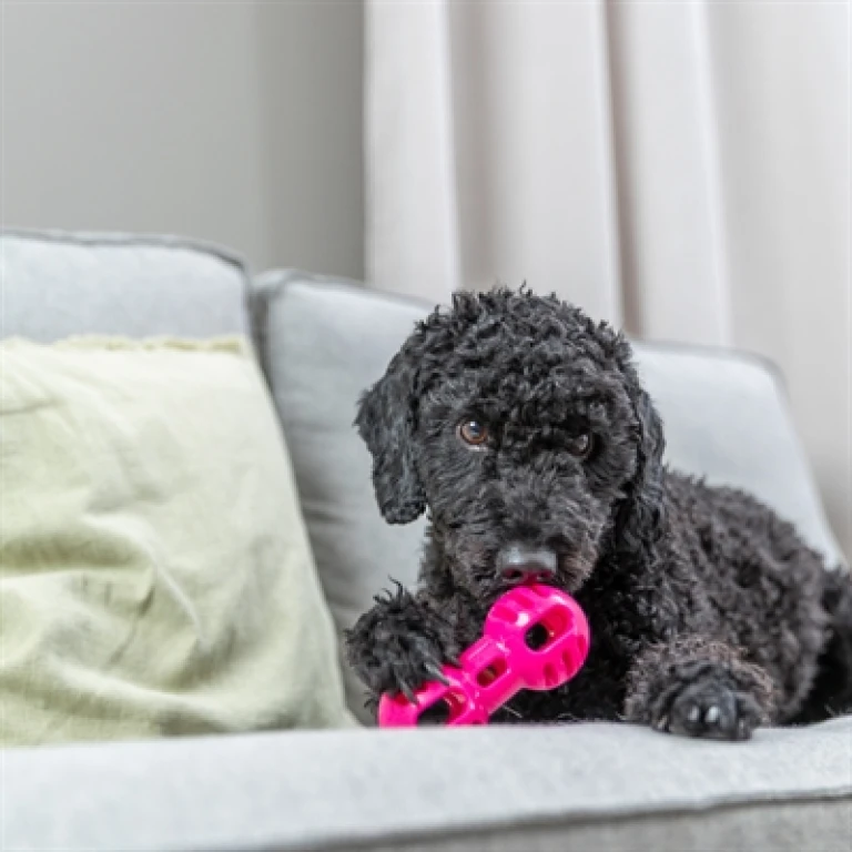 TRIXIE Dumbell Soft & Strong Hondenspeelgoed - Roze - 1 stuk