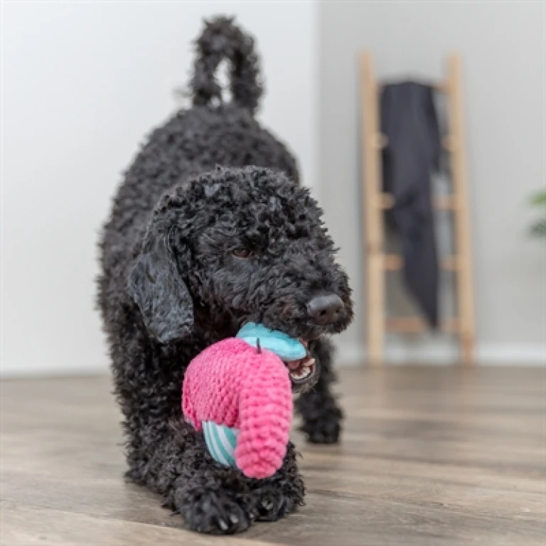 TRIXIE Hondenspeeltje Zeepaard Stoffen - Roze/Aqua - 1 stuk