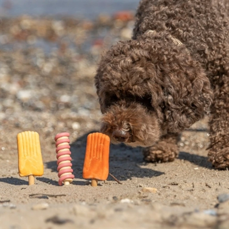 Trixie Ice Pop Geel Hondensnack - 1 stuk