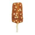 TRIXIE Denta Fun Ice Pop hondensnack met kip en kaas - 1 stuk