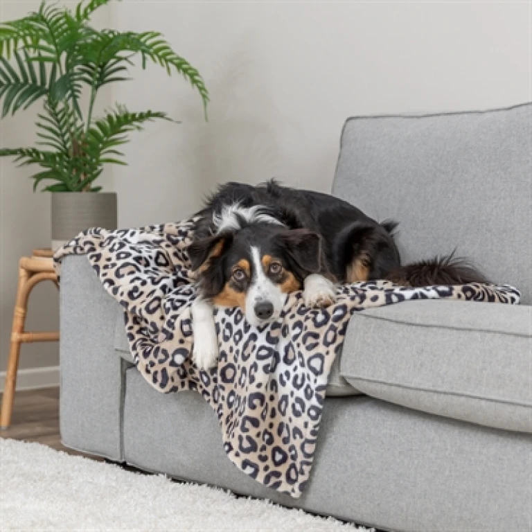 TRIXIE Hondendeken Leo Softpluche Panterprint Creme - 1 stuk