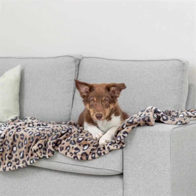 Trixie Hondendeken Leo Softpluche Panterprint Bruin 100x70 cm - 1 stuk