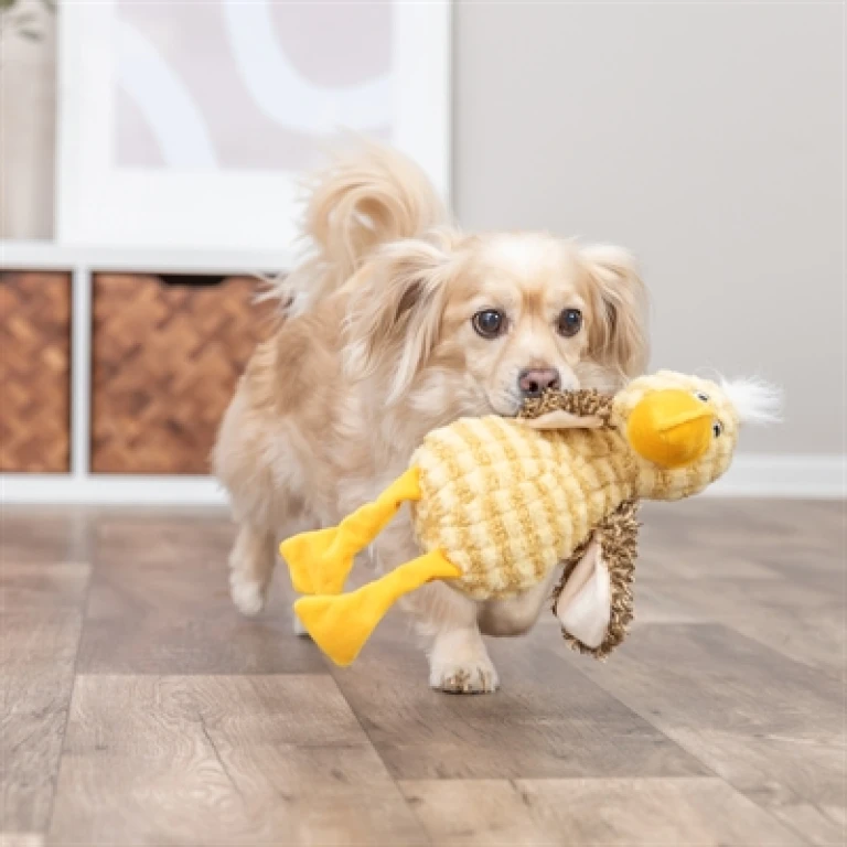 Knuffel Vogel Geel 38 cm