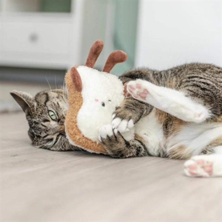 Knuffel Toast XXL Bruin 18 cm - 1 stuk
