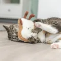 TRIXIE TOAST XXL PLUCHE MET AMERIKAANSE CATNIP