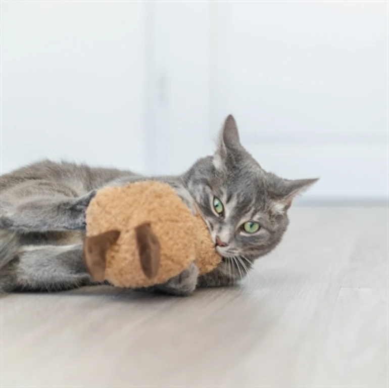 Knuffel Pinda XXL 20 cm
