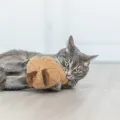 TRIXIE PINDA XXL PLUCHE MET AMERIKAANSE CATNIP