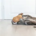 TRIXIE PINDA XXL PLUCHE MET AMERIKAANSE CATNIP