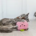 TRIXIE PERZIK XXL PLUCHE MET AMERIKAANSE CATNIP
