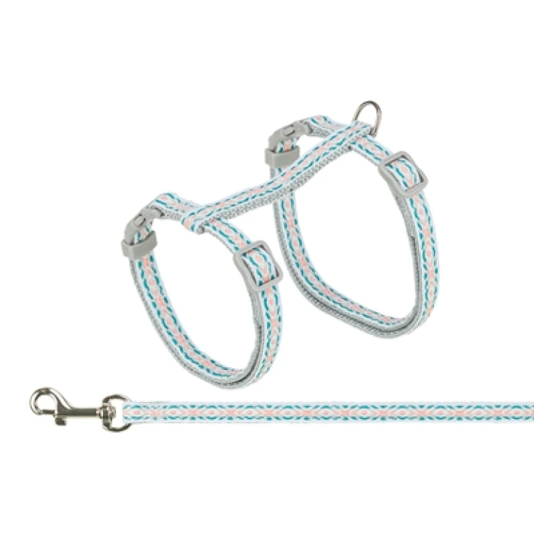Kattentuigje met riem Grijs / Blauw