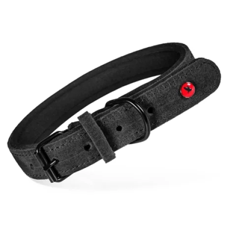 ZOLUX EXPERT HALSBAND HOND PREMIUM LEER / NEOPREEN ZWART