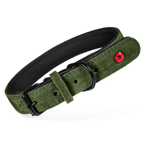 ZOLUX EXPERT HALSBAND HOND PREMIUM LEER / NEOPREEN GROEN