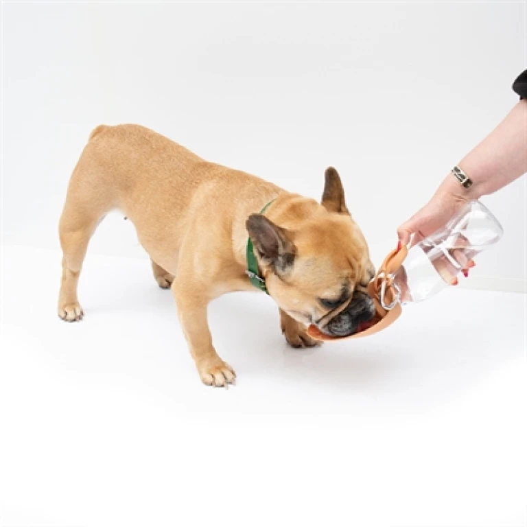 MARTIN Drinkfles met silicone drinkbak voor hond, oranje, 1 stuk